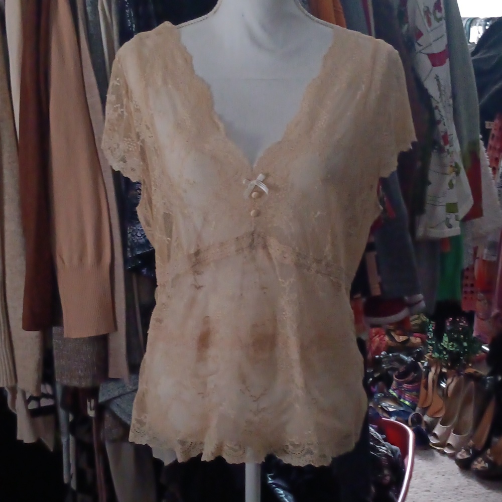 BANANA REPUBLIC  Shearer lace top